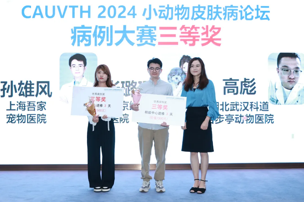 a5娱乐下载