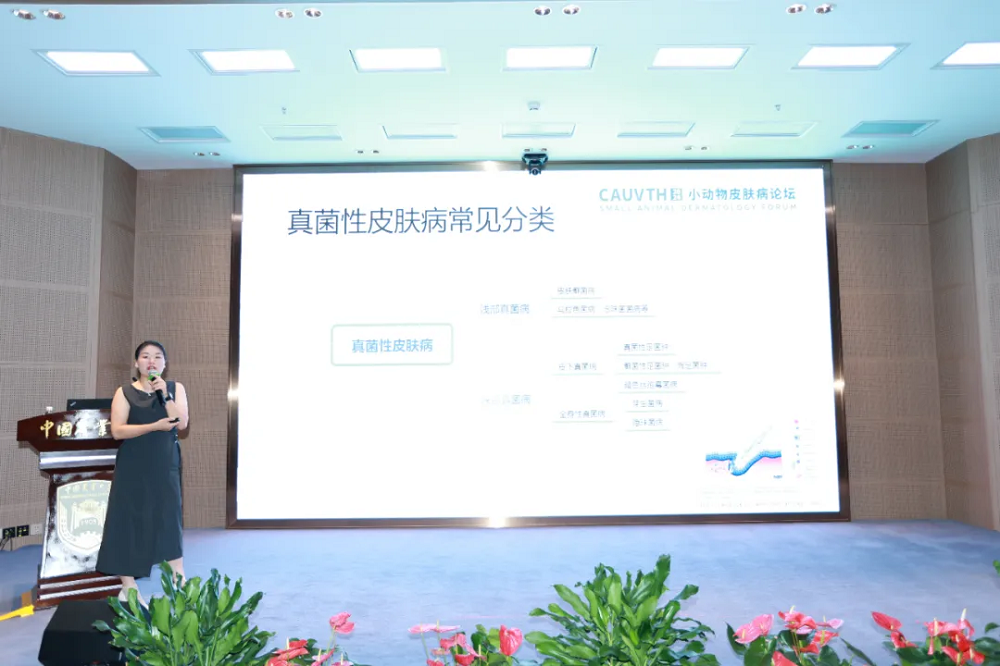a5娱乐下载