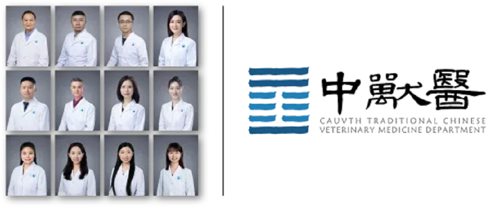 a5娱乐下载