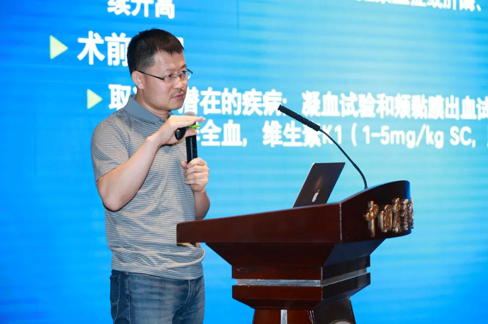 a5娱乐下载