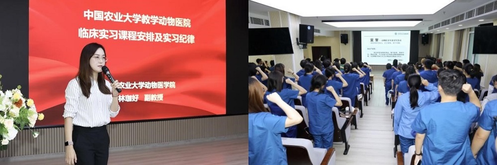 a5娱乐下载