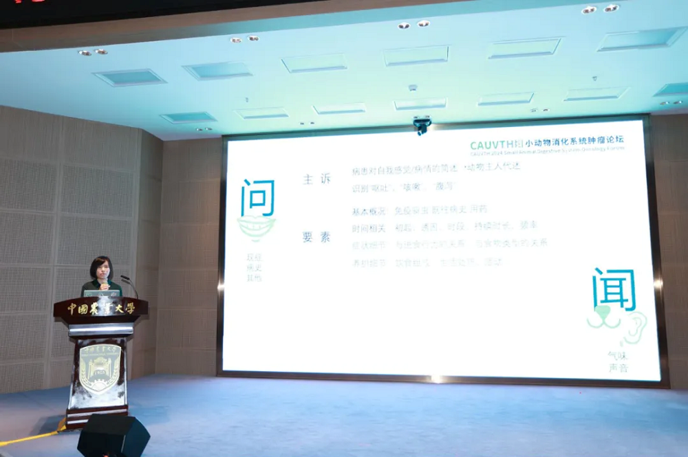 a5娱乐下载