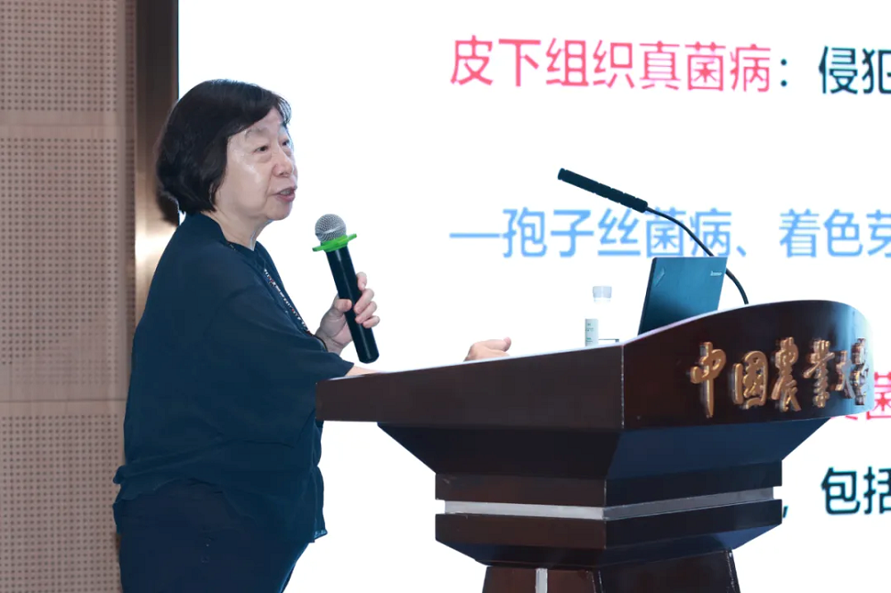 a5娱乐下载