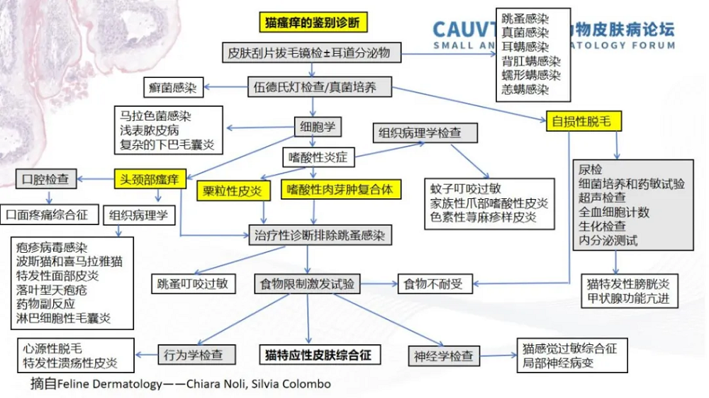 a5娱乐下载