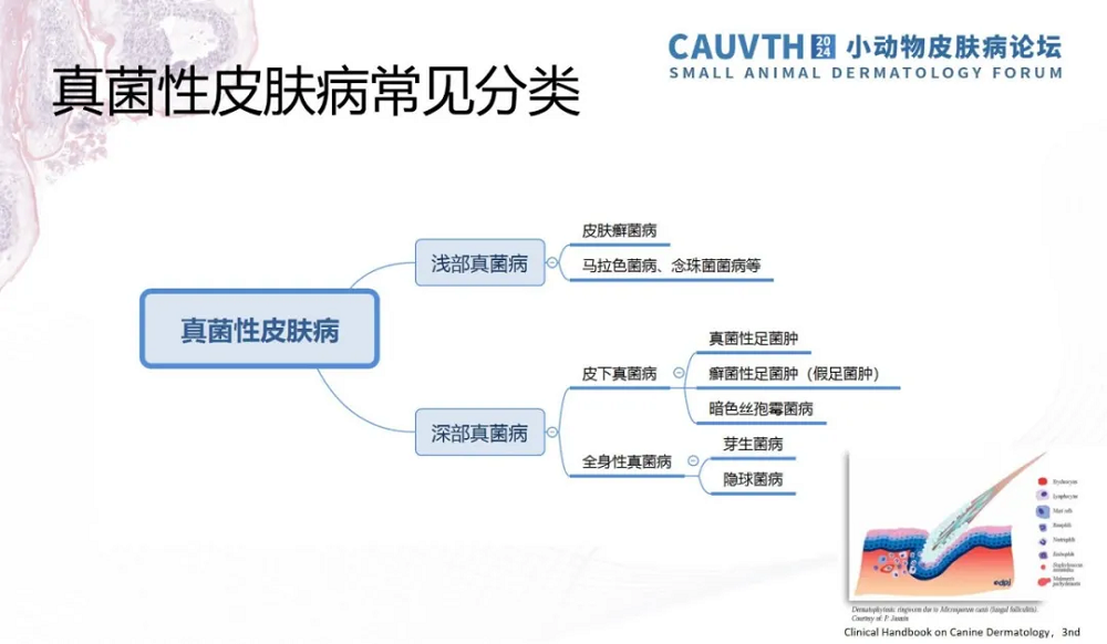 a5娱乐下载