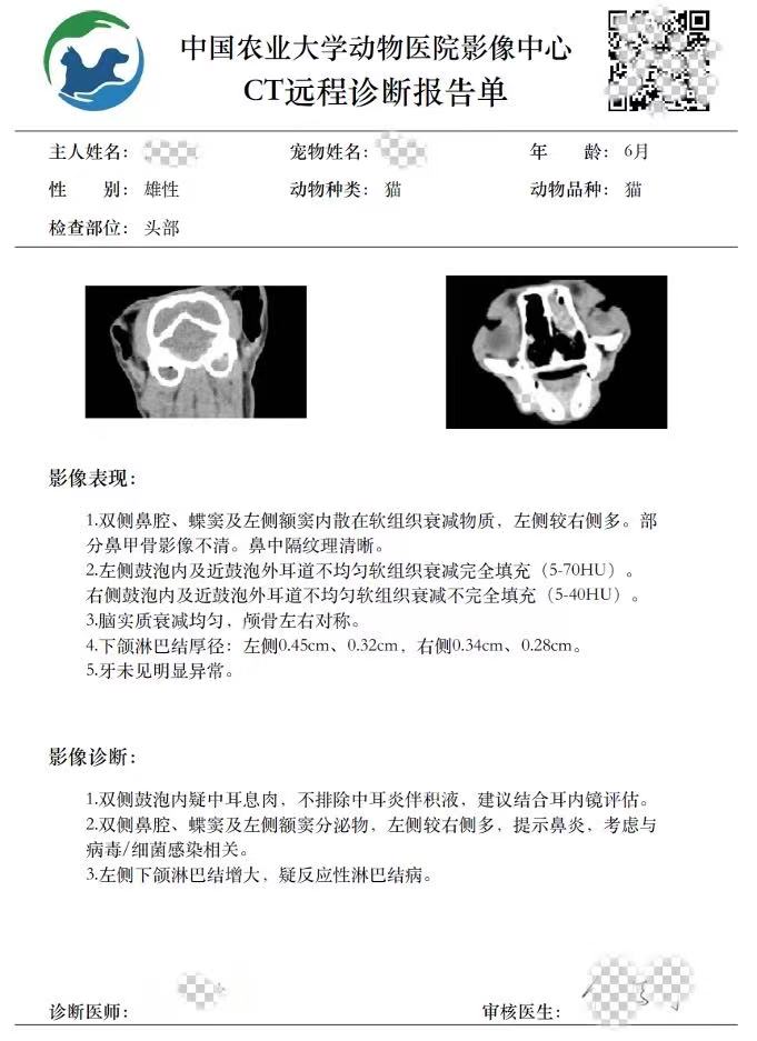 a5娱乐下载