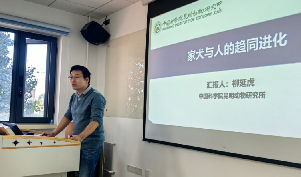 a5娱乐下载
