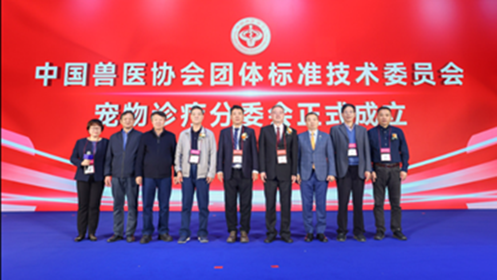 a5娱乐下载