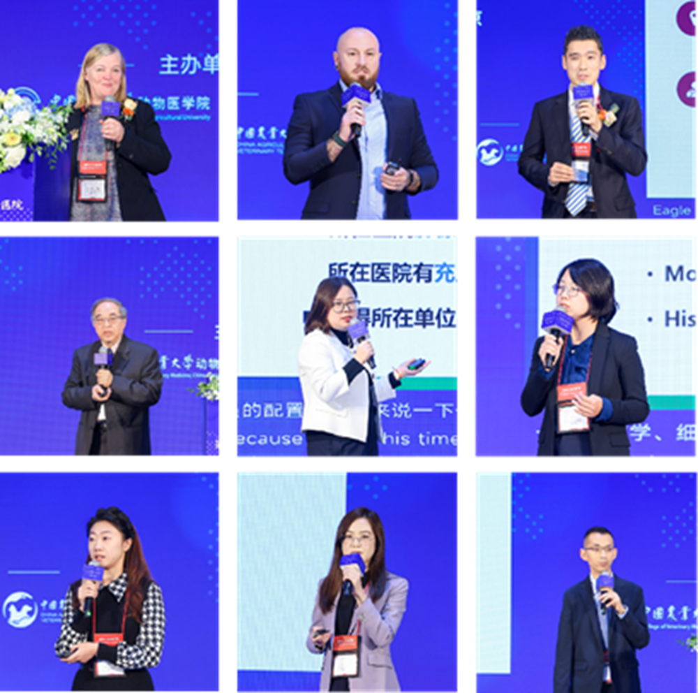 a5娱乐下载