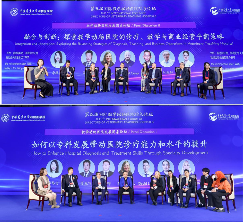 a5娱乐下载