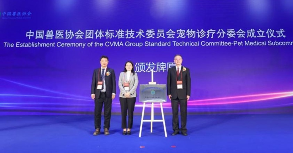 a5娱乐下载