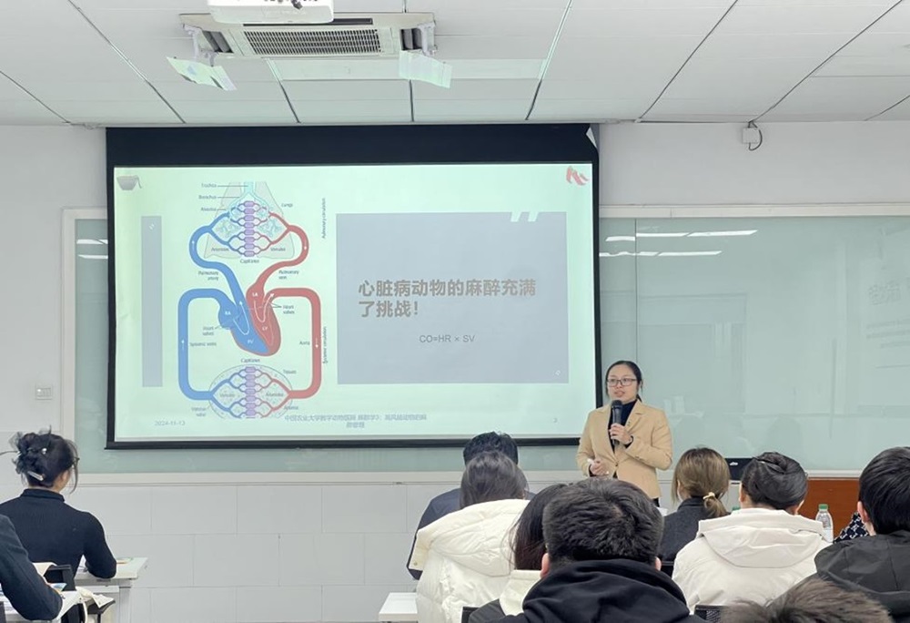 a5娱乐下载