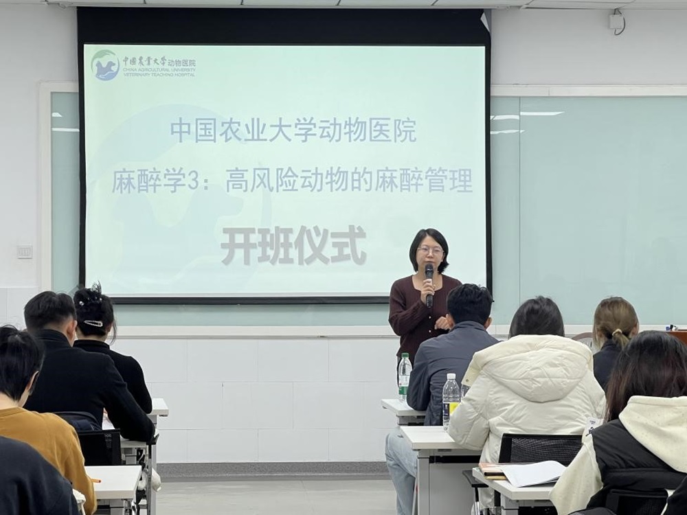 a5娱乐下载