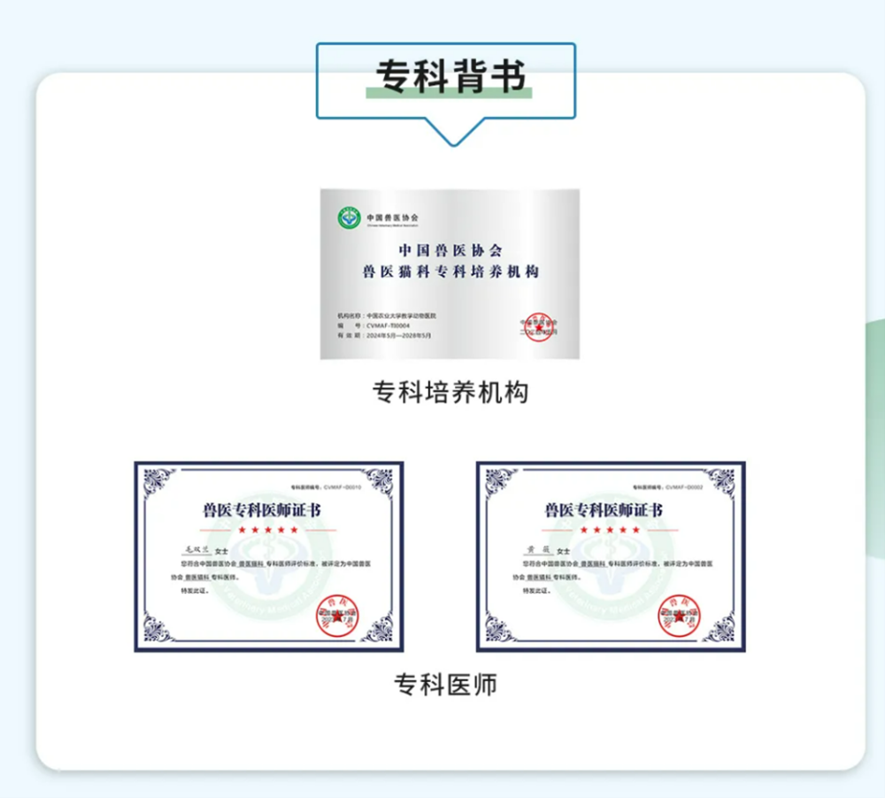 a5娱乐下载