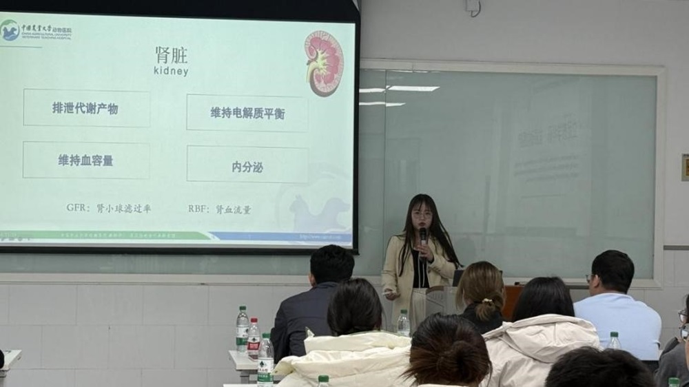 a5娱乐下载