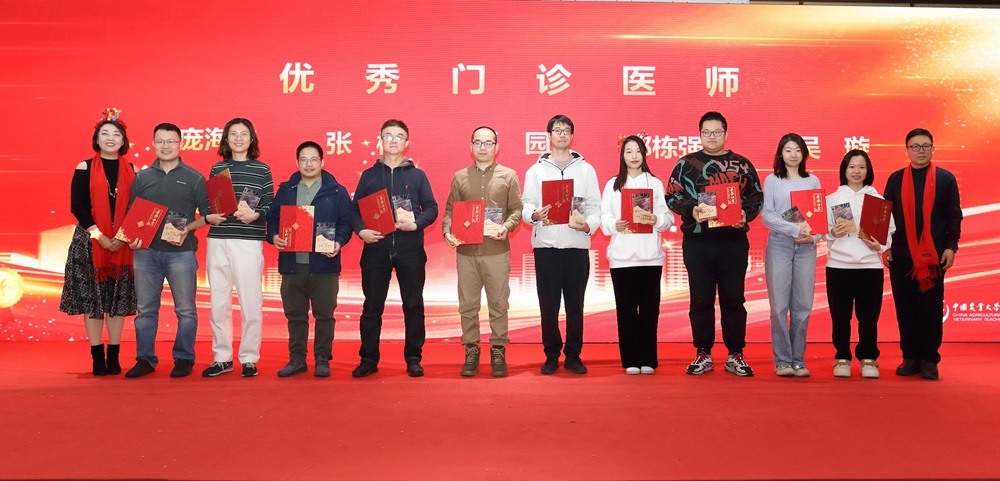 a5娱乐下载
