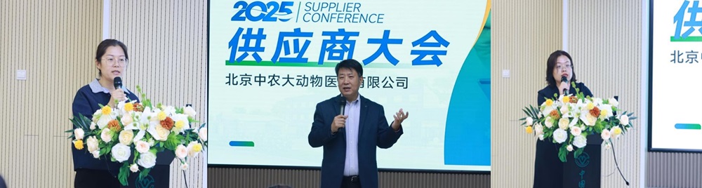a5娱乐下载
