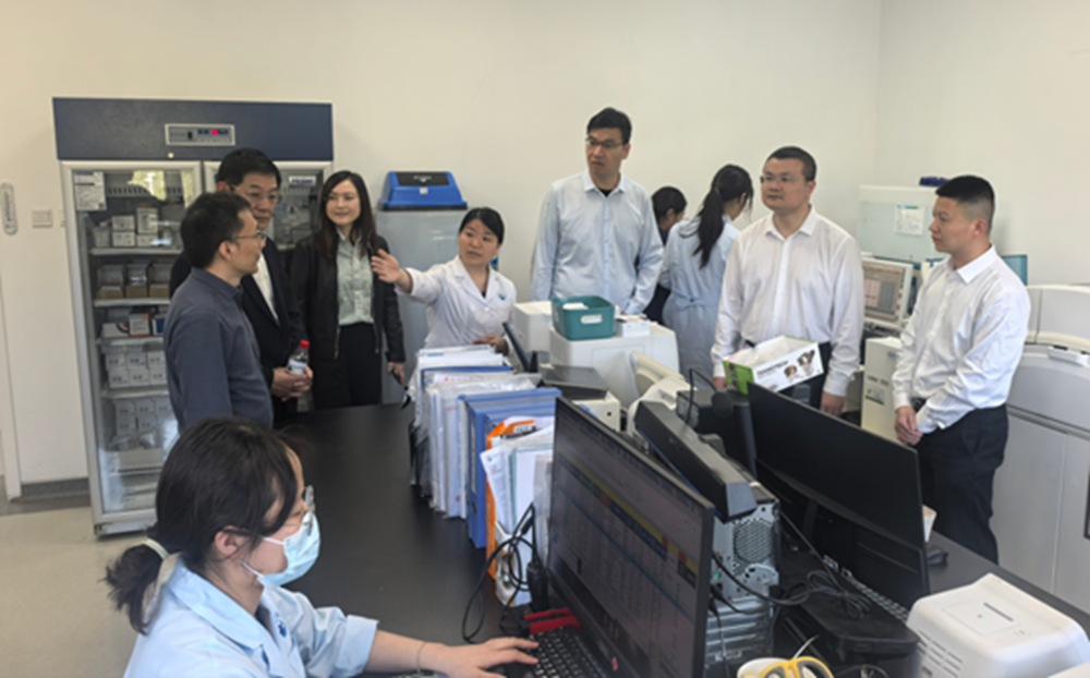 a5娱乐下载