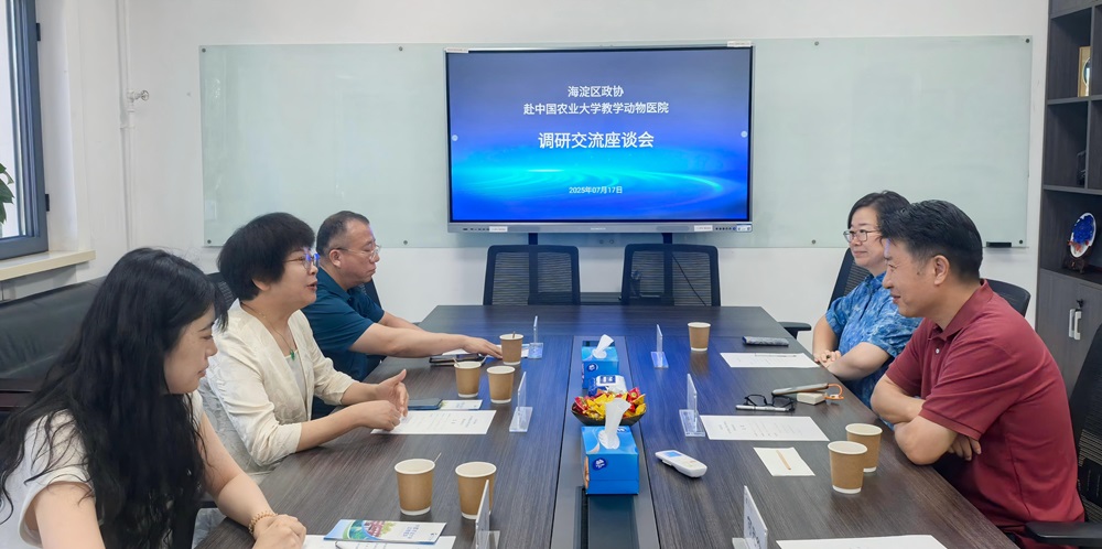 a5娱乐下载