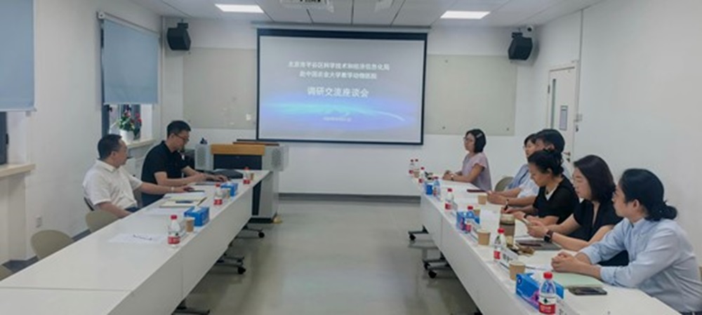 a5娱乐下载
