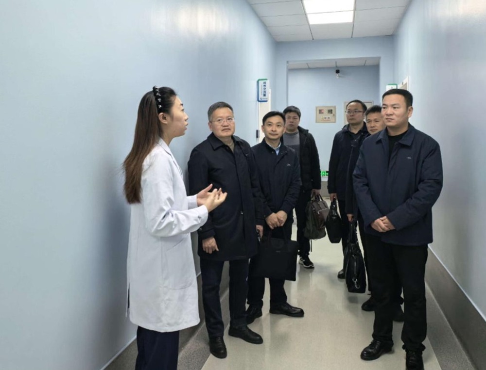 a5娱乐下载