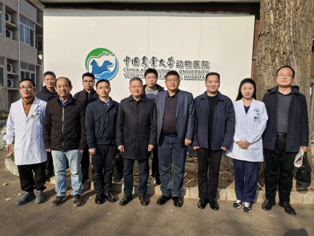 a5娱乐下载