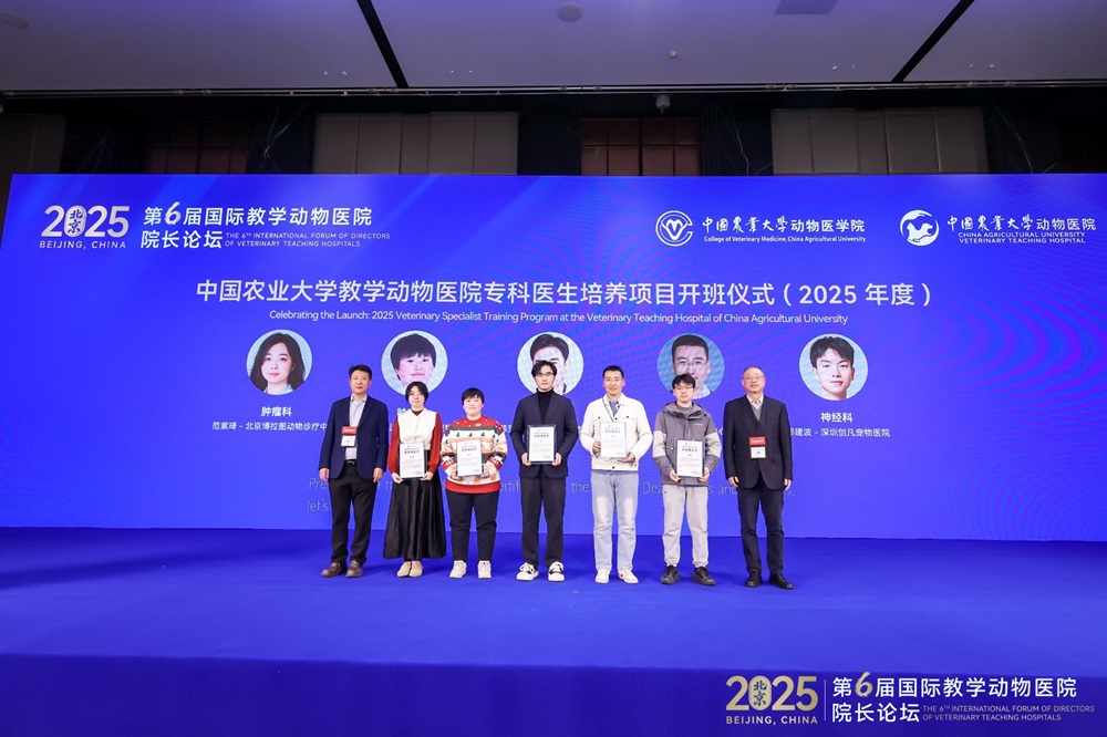 a5娱乐下载