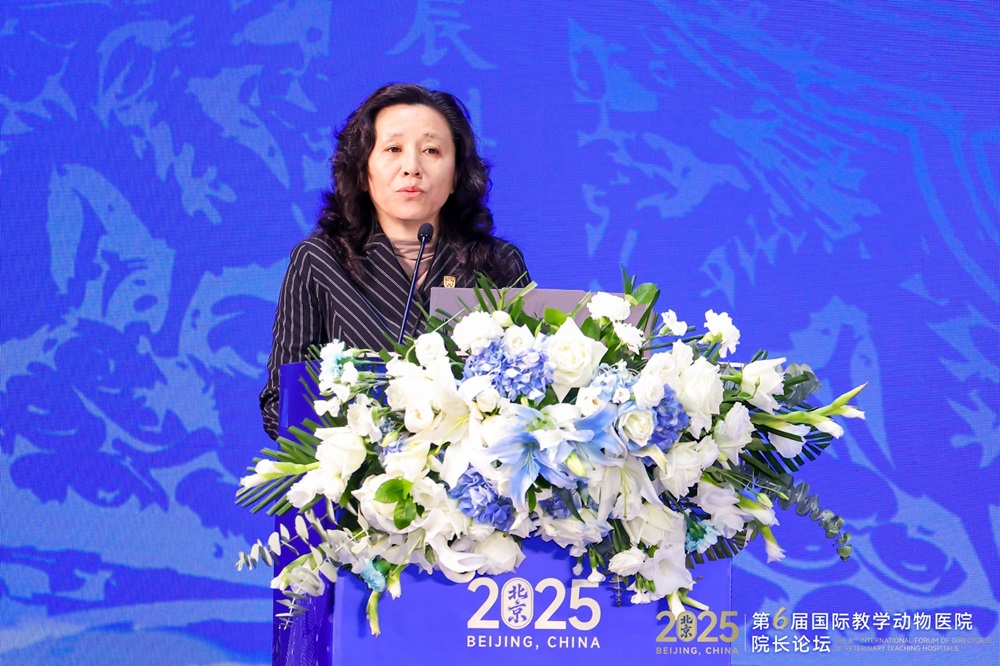 a5娱乐下载