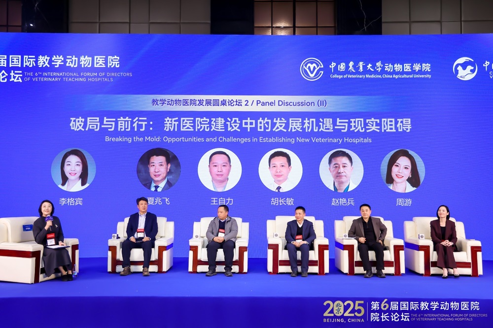 a5娱乐下载