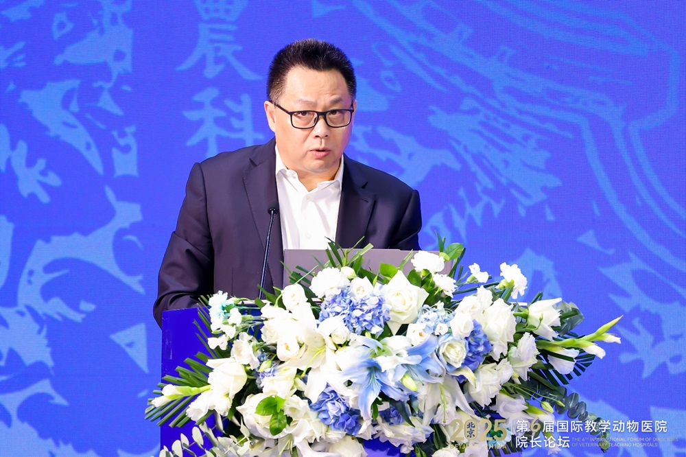 a5娱乐下载