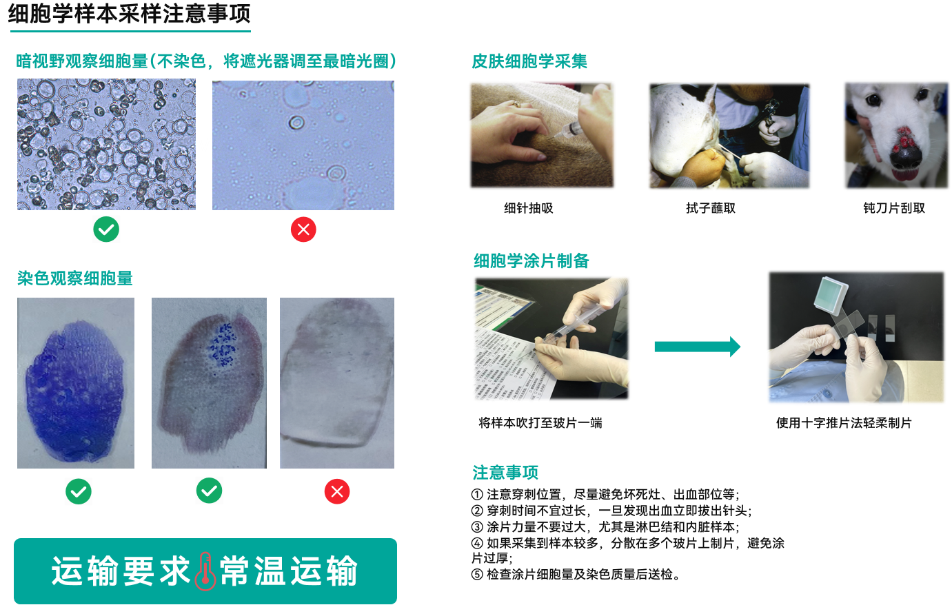 a5娱乐下载