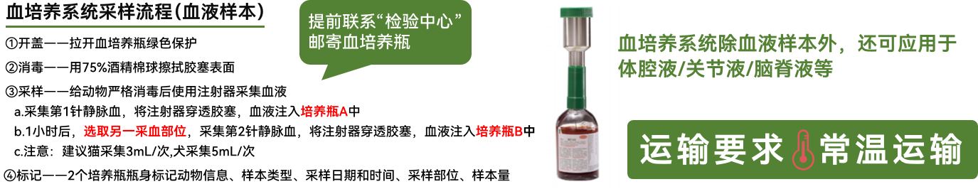 a5娱乐下载