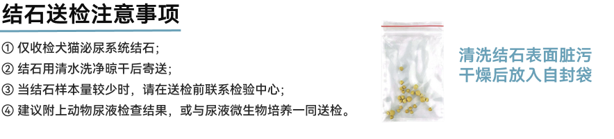 a5娱乐下载