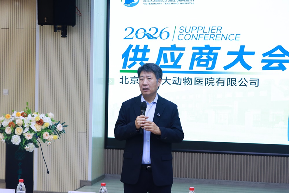 a5娱乐下载