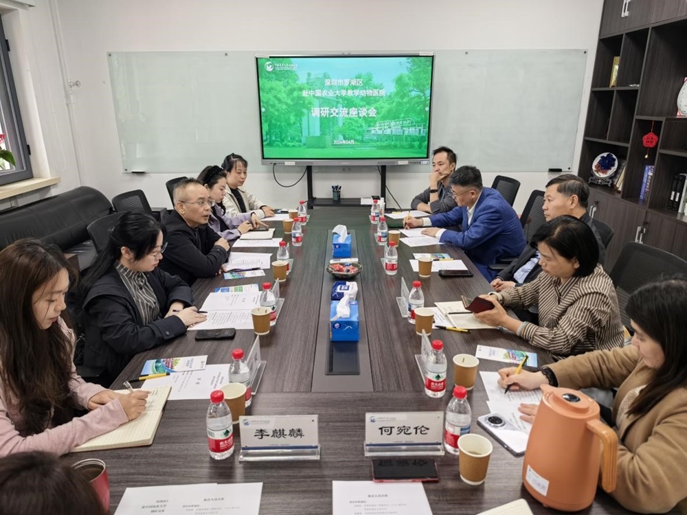 a5娱乐下载