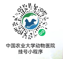 a5娱乐下载