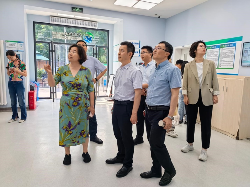 a5娱乐下载