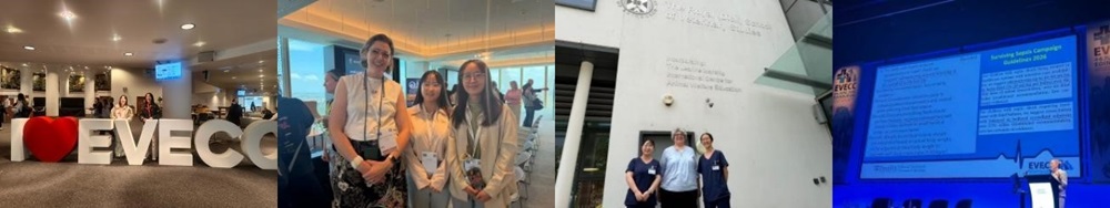 a5娱乐下载