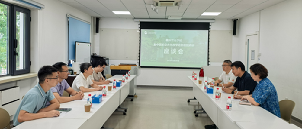 a5娱乐下载