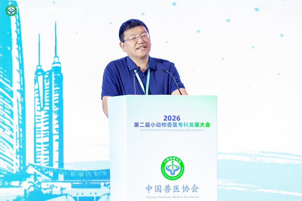 a5娱乐下载