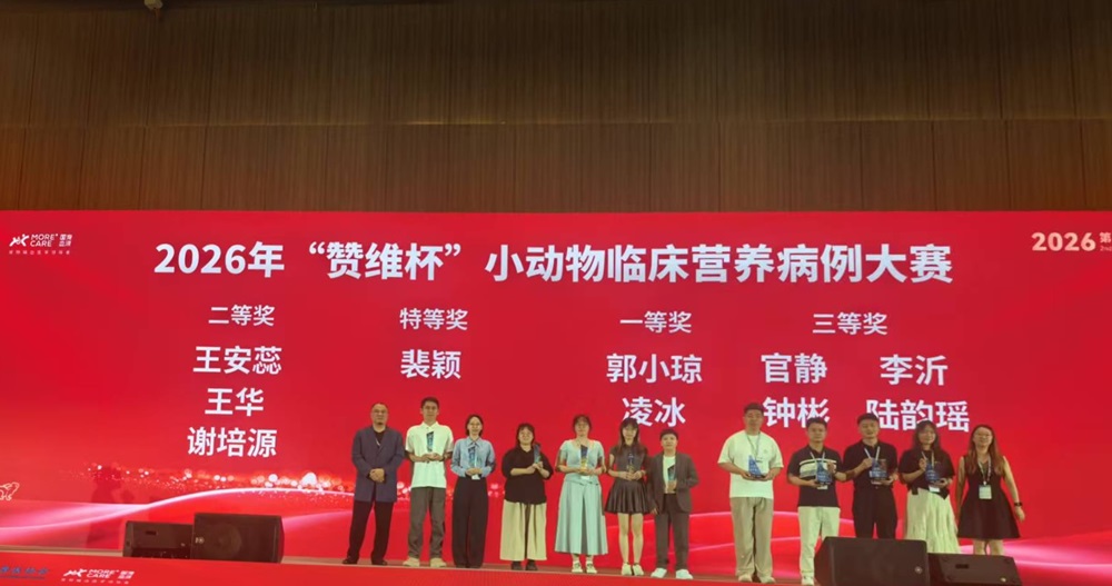 a5娱乐下载