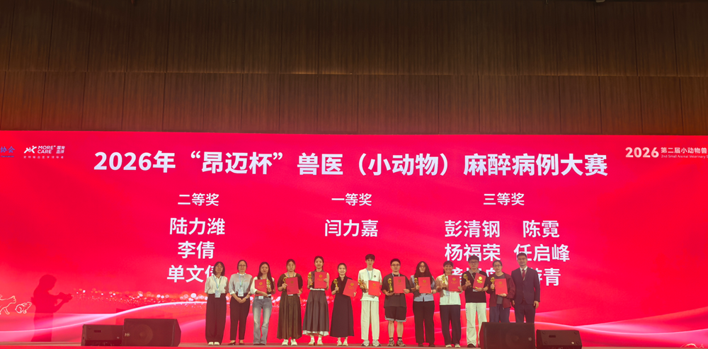 a5娱乐下载