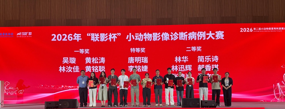 a5娱乐下载