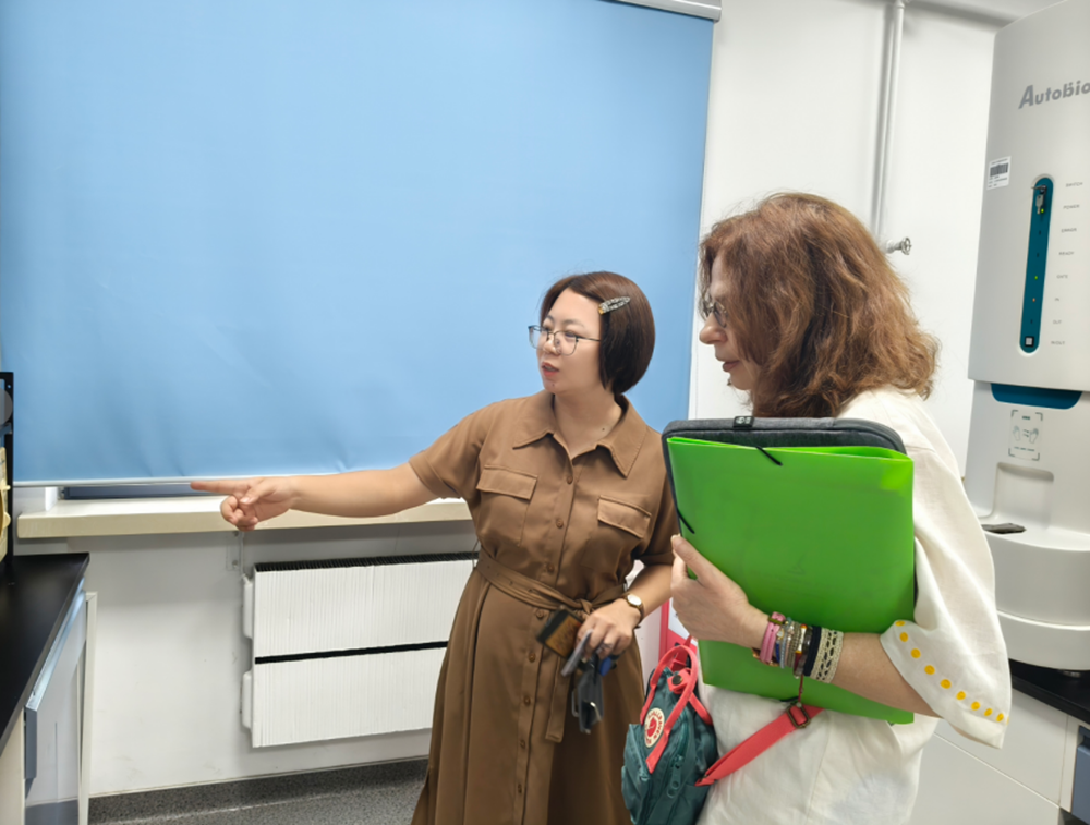 a5娱乐下载