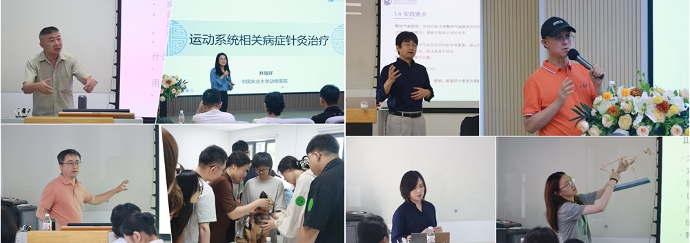a5娱乐下载