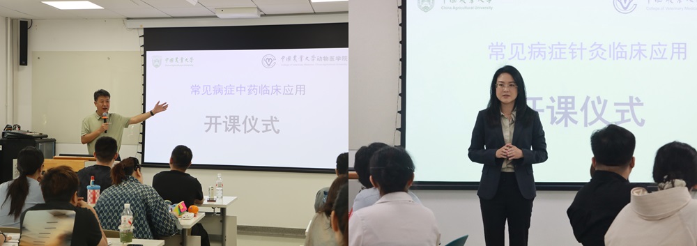 a5娱乐下载